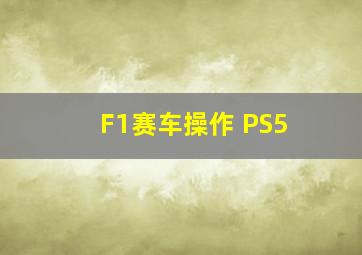 F1赛车操作 PS5